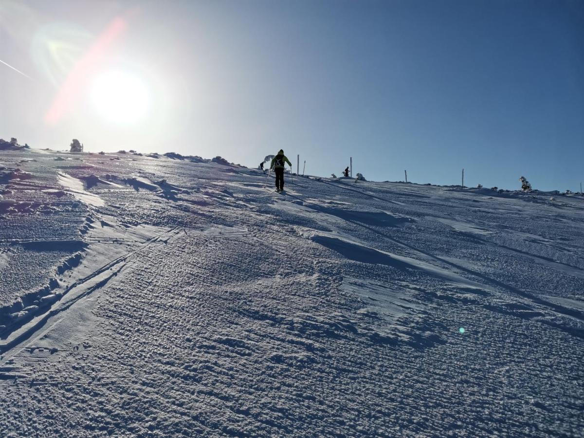 Luxusni Apt Hory 7 V Krkonosich Vysoké nad Jizerou Exterior foto